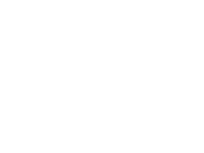 partnerhn11hapulico
